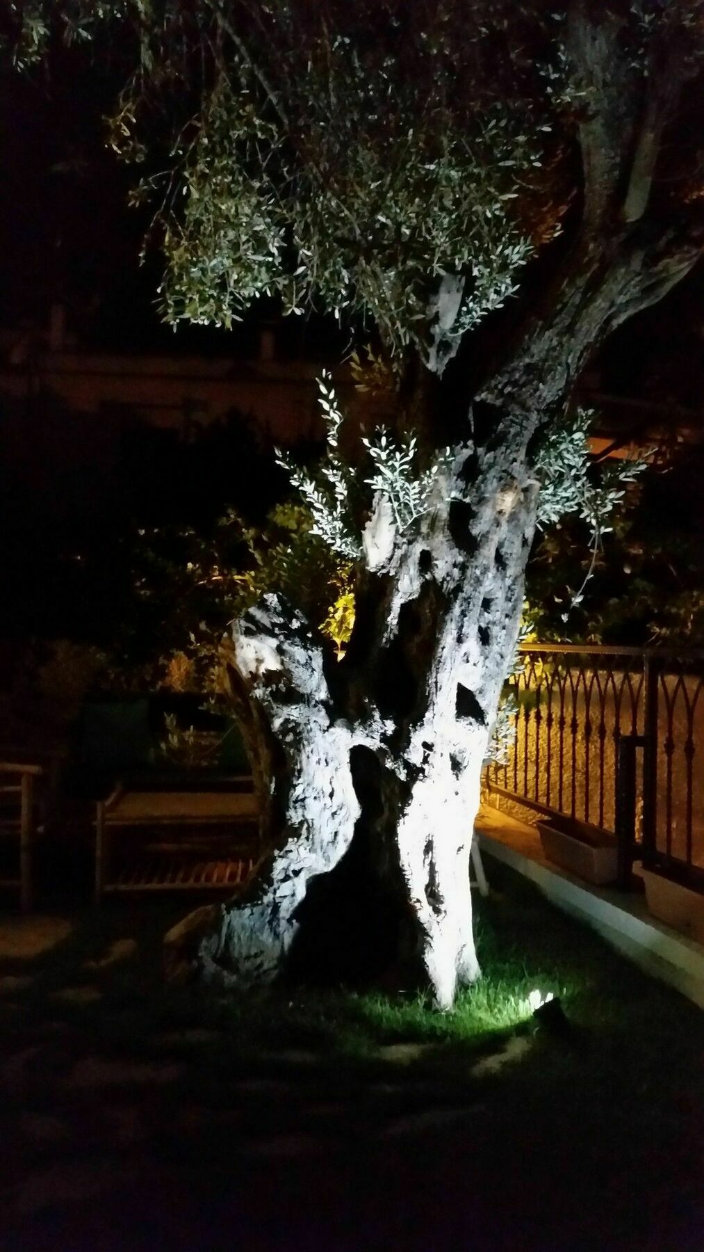 Cassiopeia Hotel Alaçatı Esterno foto