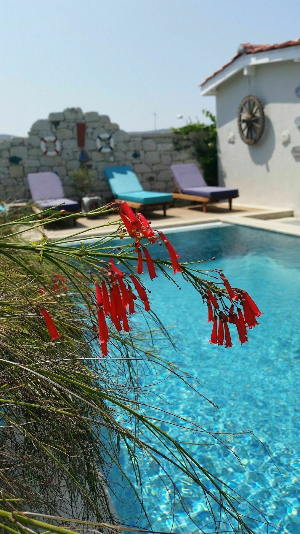 Cassiopeia Hotel Alaçatı Esterno foto